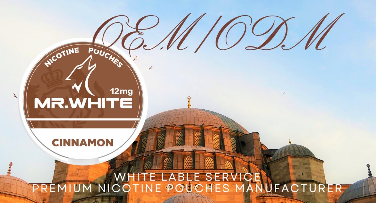 Nicotine Pouches Canada Market Insights