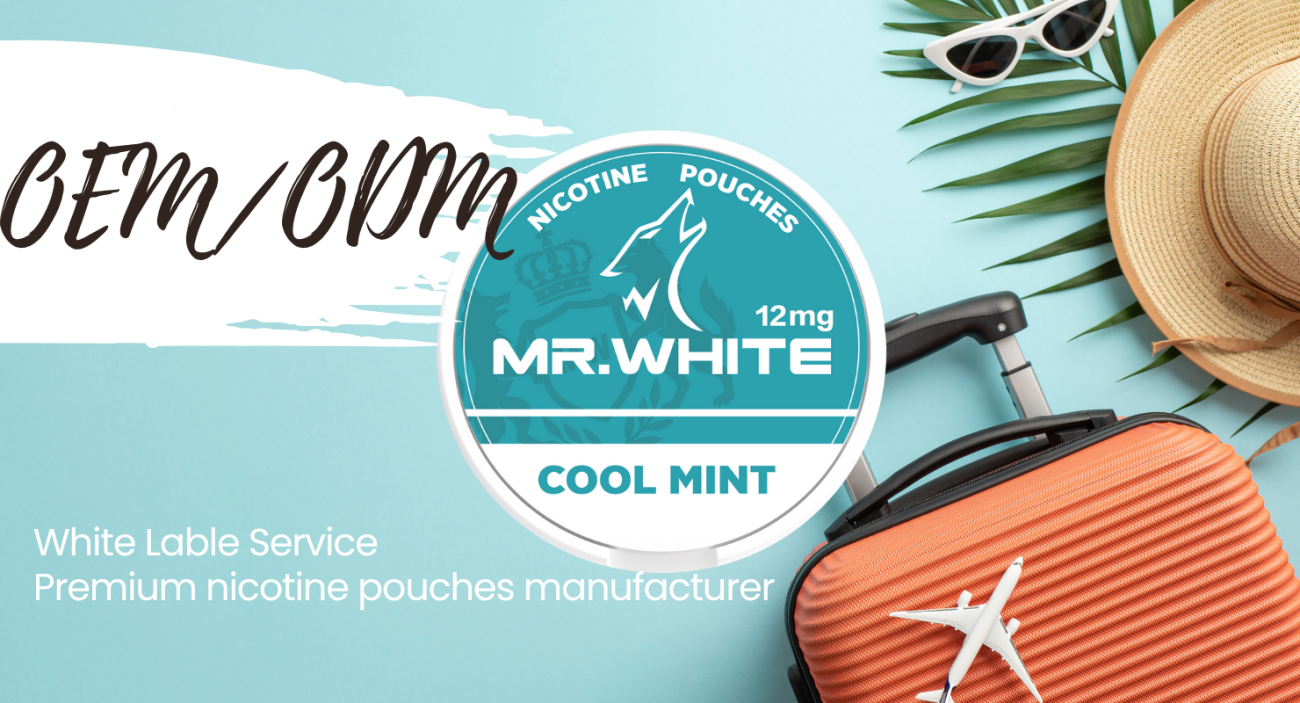 Nicotine pouch manufacturer